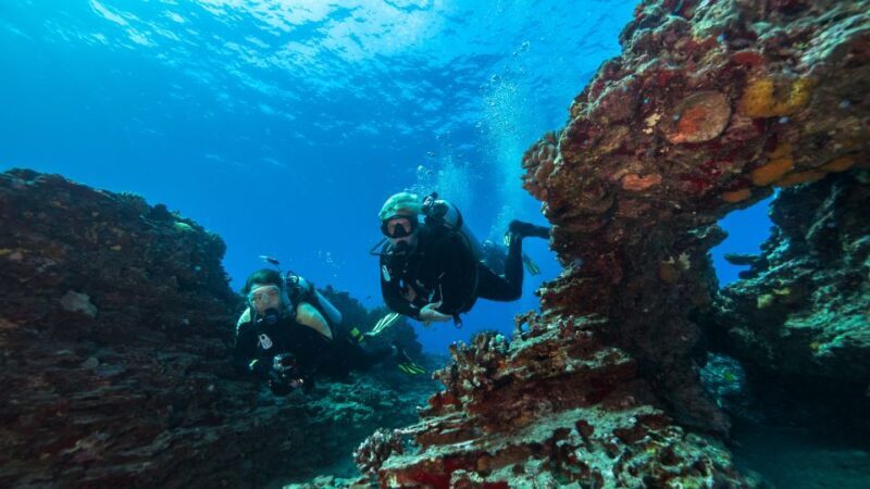 Oahu: Wreck & Reef Scuba Dive for Certified Divers - What Reviewers Are Saying