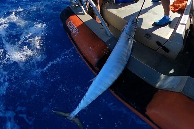 Oahu's Unique Whale Watching and Fishing Charter - Key Points