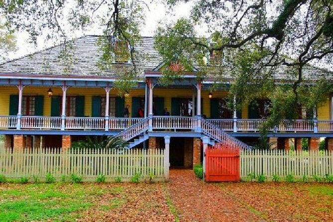 Oak Alley or Laura Plantation Tour from New Orleans - The Tour Experience in Detail