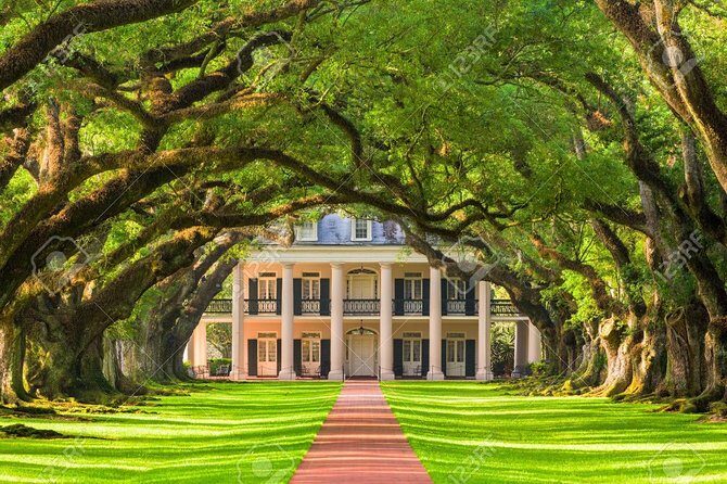 Oak Alley Plantation & Airboat Tours - The Swamp Airboat Experience