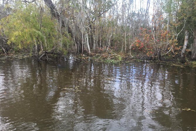 Oak Alley Plantation & Airboat Tours - Pricing & Overall Value