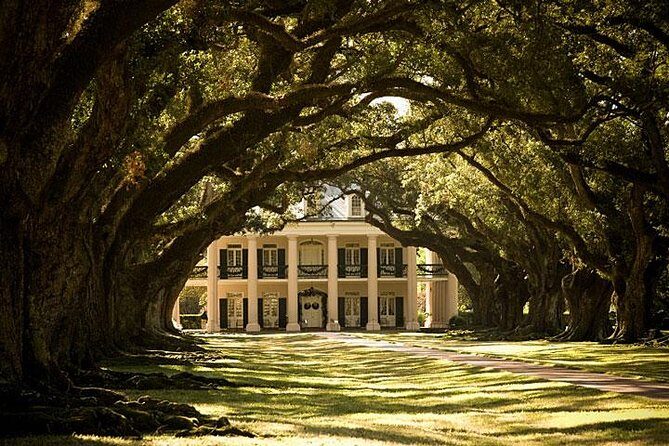 Oak Alley Plantation and Large Airboat Swamp Tour from New Orleans - An In-Depth Look at the Experience