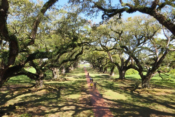 Oak Alley Plantation and New Orleans City Tour - Practical Details and How It Affects Your Experience