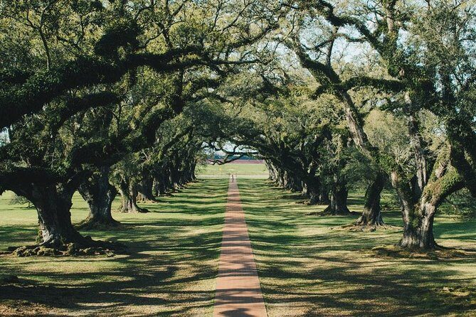 Oak Alley Plantation and Small Airboat Tour from New Orleans - Final Thoughts