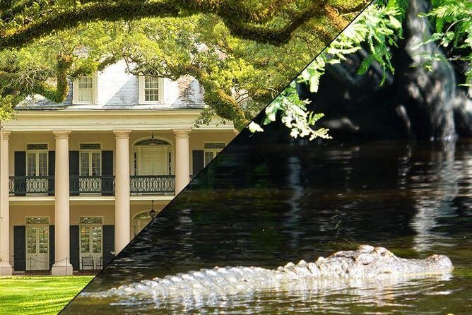 Oak Alley Plantation and Swamp Boat Tour from New Orleans - The Swamp Boat Tour