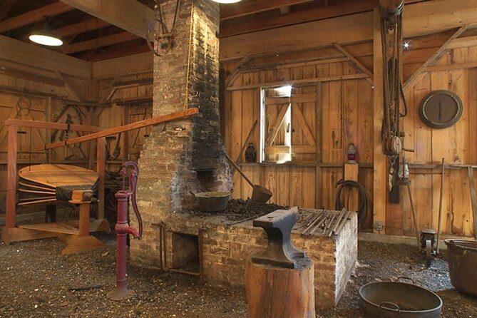 Oak Alley Plantation and Swamp Boat Tour from New Orleans - Who Should Consider This Tour?