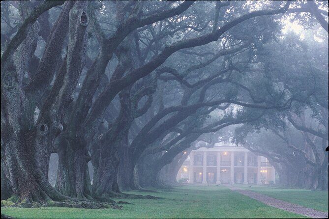 Oak Alley Plantation Half Day Tour - Final Words