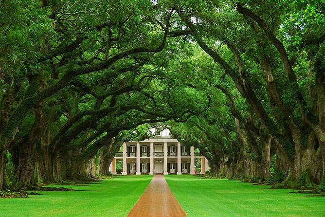 Oak Alley Plantation Half-Day Tour from New Orleans - Key Points