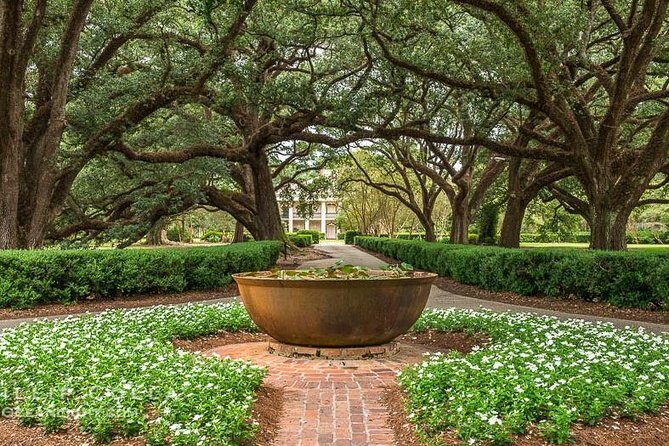 Oak Alley Plantation Half-Day Tour from New Orleans - An In-Depth Review of the Oak Alley Plantation Tour