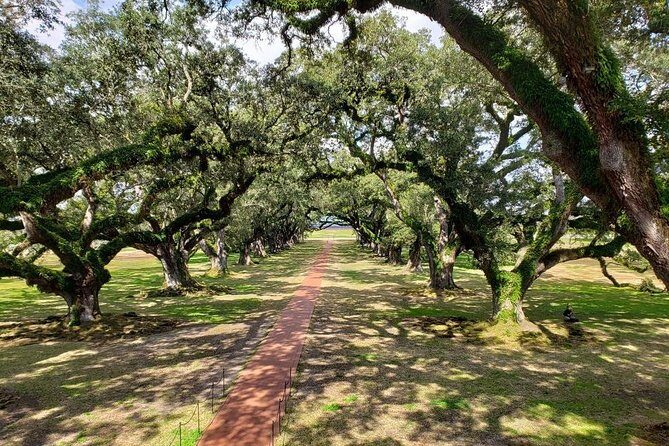Oak Alley Plantation Tour with Transportation - The Downsides and Considerations