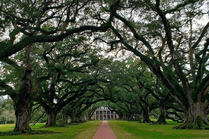 Oak Alley Plantation Tour with Transportation - FAQ