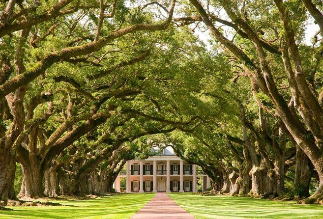 Oak Alley Plantation Tour with Transportation - An Honest Breakdown of the Oak Alley Plantation Tour