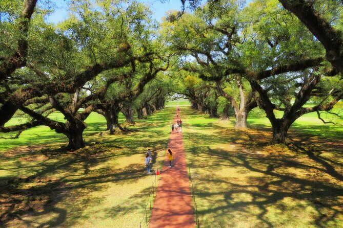 Oak Alley Plantation Tour with Transportation from New Orleans - FAQ