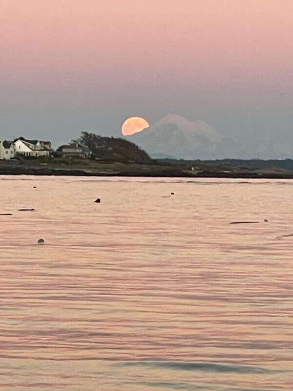 Oak Bay: Full Moon Paddle Experience - What is the Oak Bay Full Moon Paddle Experience?