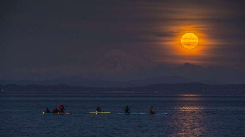 Oak Bay: Full Moon Paddle Experience - FAQ
