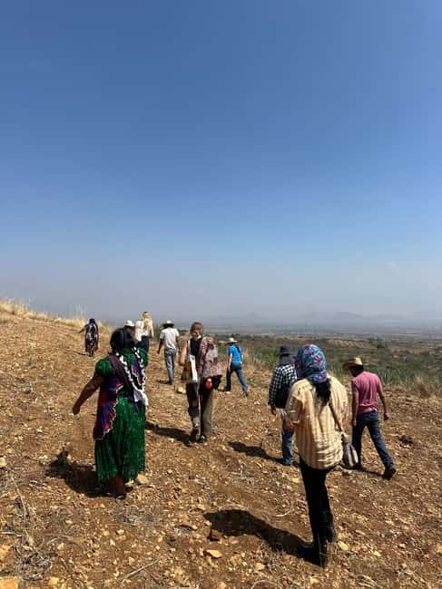 Oaxaca: Artisan Clay Pottery Workshop w/Breakfast and Brunch - Final Thoughts: Who Will Love This Experience?