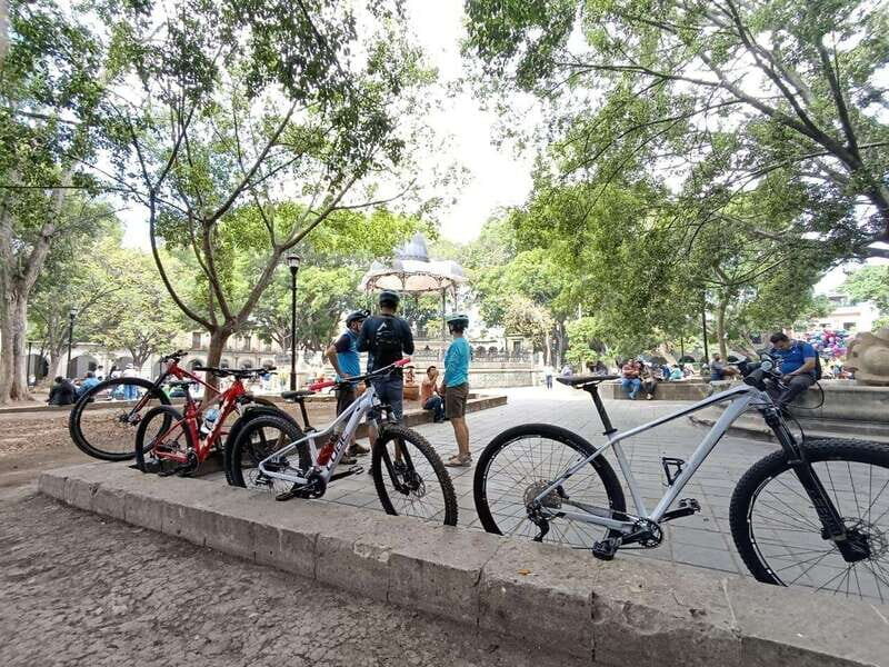 Oaxaca City: Bike Tour with Professional Guide+Art workshop - The Value and Price