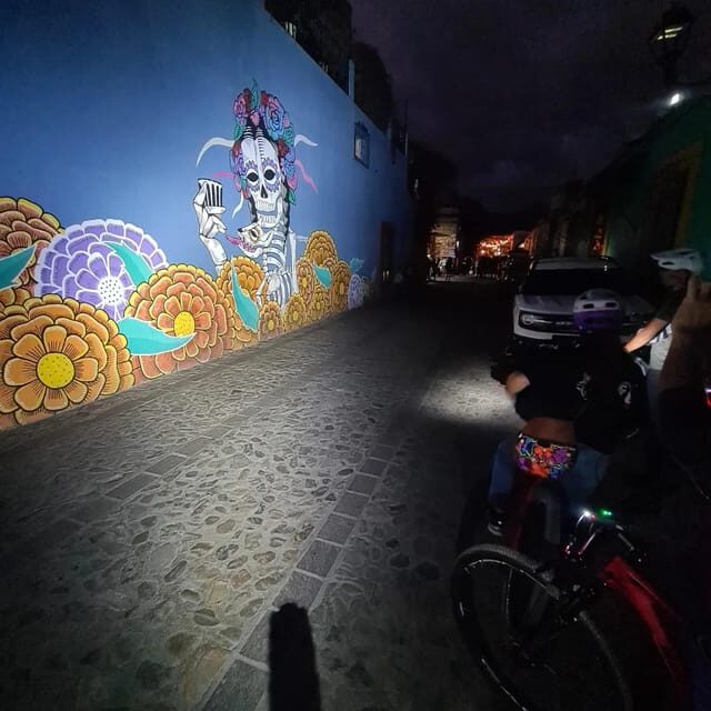 Oaxaca City: Bike Tour with Professional Guide+Art workshop - Authentic Traveler Feedback