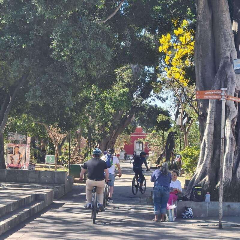 Oaxaca City: Bike Tour with Professional Guide+Art workshop - Who Will Enjoy This Tour?