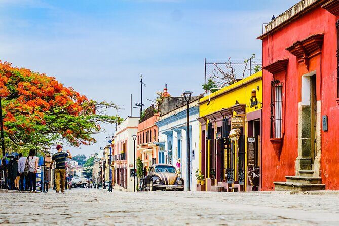 Oaxaca City Private Tour  Culture, History, and Tastes - What’s Included and What’s Not