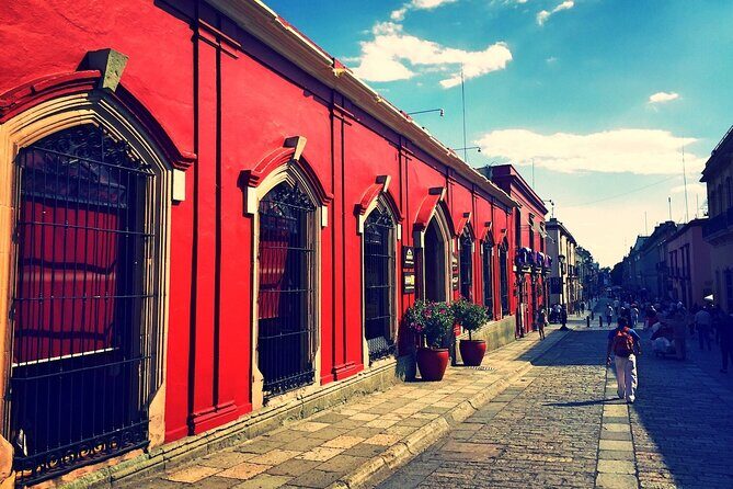 Oaxaca City tour - Santo Domingo museum & the colorful market - Who Is This Tour Best For?