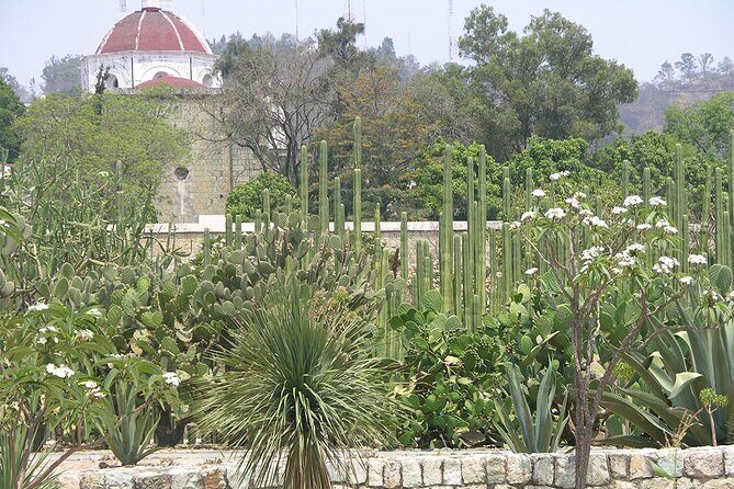 Oaxaca City tour - Santo Domingo museum & the colorful market - The Sum Up