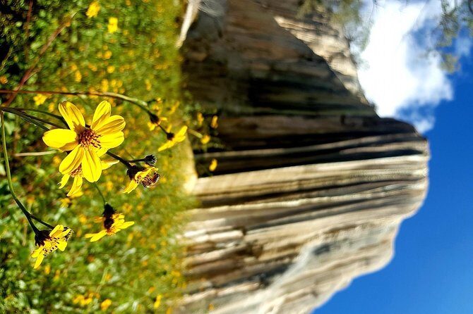 Oaxaca Conmigo Private Tours - Frequently Asked Questions