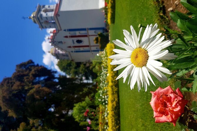 Oaxaca Conmigo Private Tours - Final Thoughts