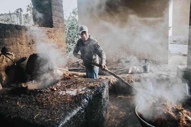 Oaxaca: Crafts & Cuisine Culture Tour - Final Thoughts