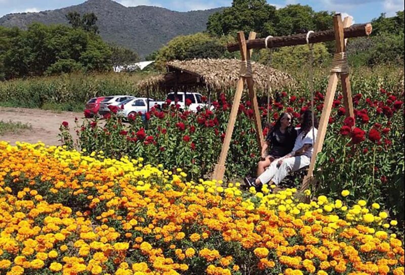 Oaxaca: Day of the Dead Altar Workshop with Meal - What Past Participants Say