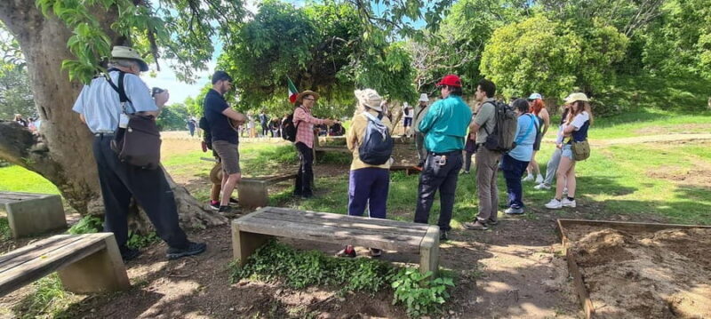 Oaxaca: Discover Monte Albán and the markets of Oaxaca - Who Should Consider This Tour?