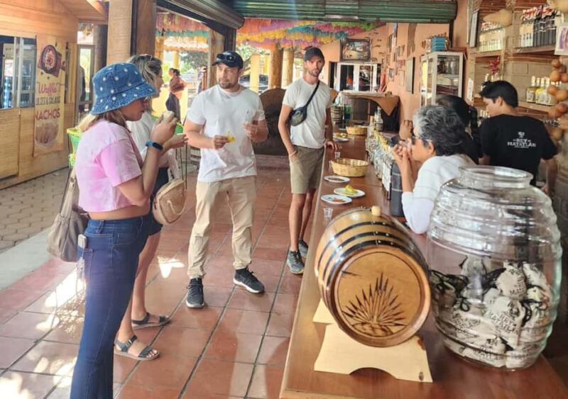 Oaxaca: El Tule, Mitla, and Hierve el Agua Tour with Mezcal - Key Points