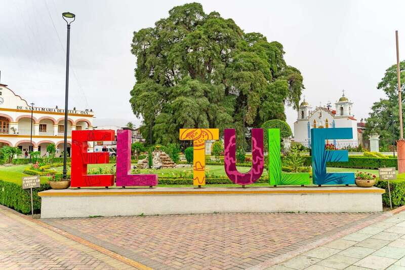 Oaxaca: El Tule tree, Teotitlan Village & Mezcal Tour - What Do Travelers Say?