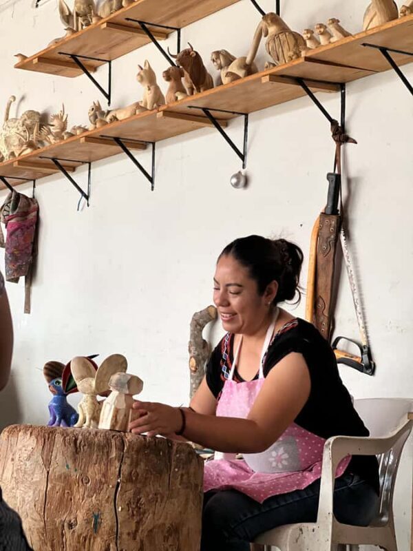 Oaxaca: Empowering Women Private Tour - Key Points