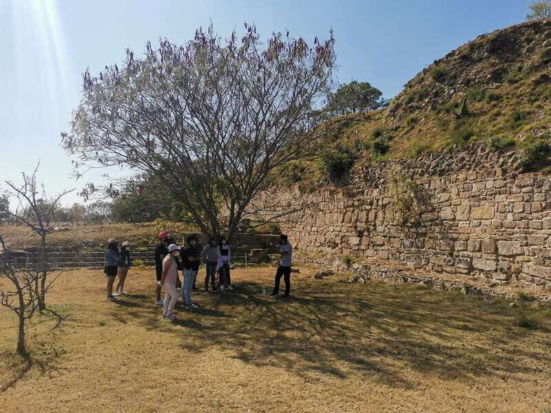Oaxaca: Full Day Guided Tour on the Monte Alban Route - Real Traveler Perspectives