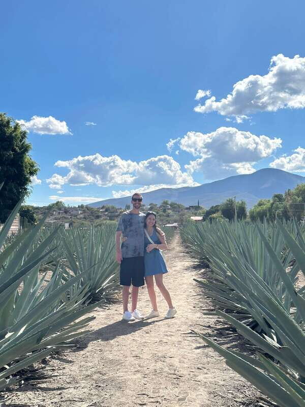 Oaxaca: Hierve el Agua & Mezcal Distillery Small-Group Tour - What the reviews say