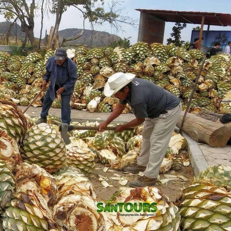 Oaxaca: Hierve el Agua Tour - Final Thoughts