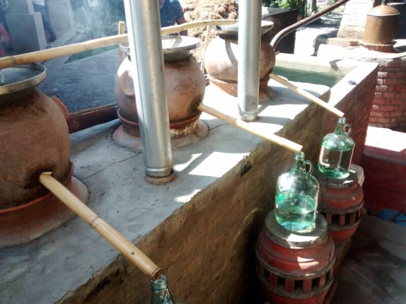 Oaxaca: Mezcal Adventure - Who Would Love This Tour?