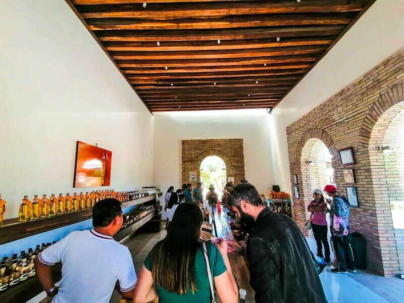 Oaxaca- Mezcal Voices - Final Thoughts: Is This Tour for You?