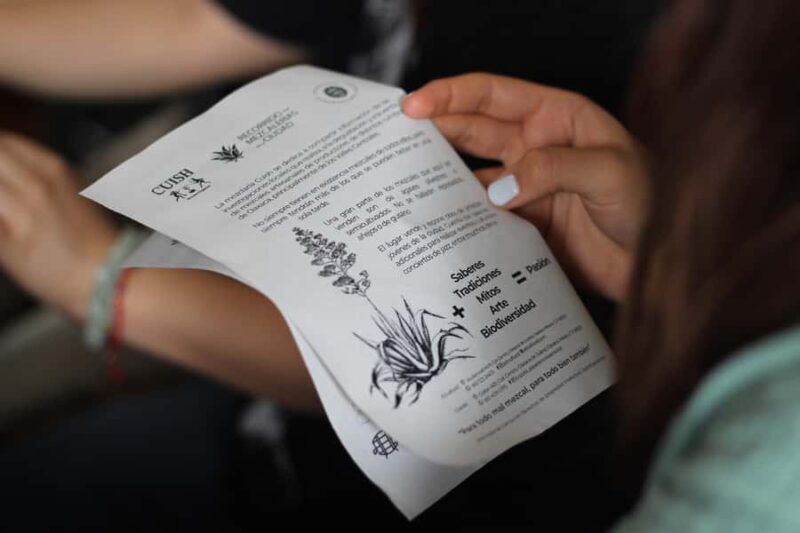 Oaxaca: Mezcaleria in the City Walking Tour - A closer look at the Oaxaca Mezcaleria Walking Tour