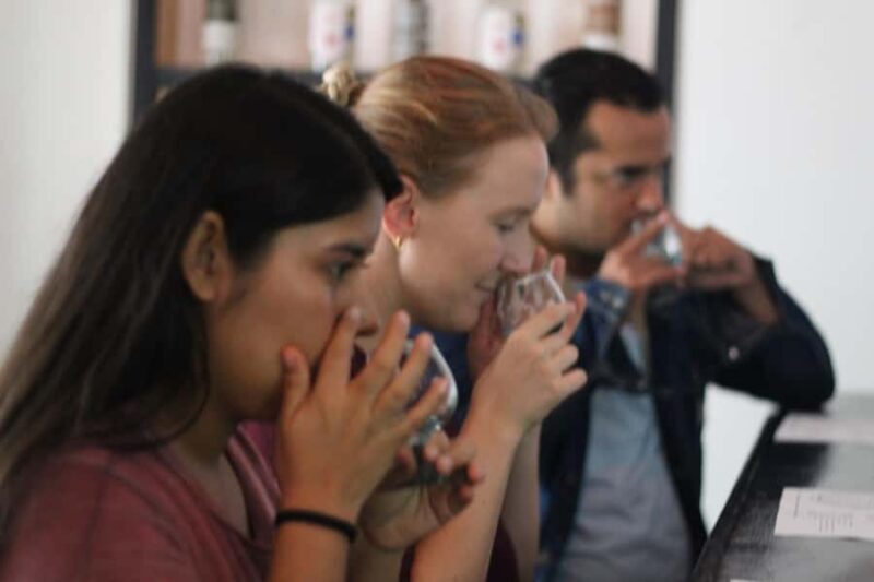 Oaxaca: Mezcaleria in the City Walking Tour - The Sum Up