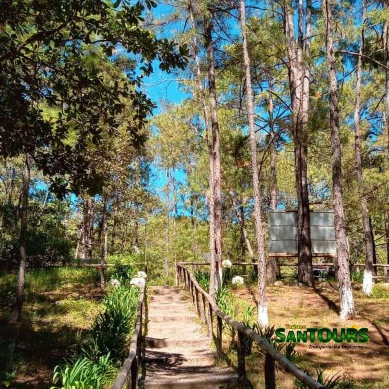 Oaxaca: Monte Albán Archaeological Tour - FAQ