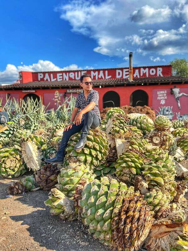Oaxaca: Monte Albán, Hierve el agua, Mezcal and Teotitlán - Key Points