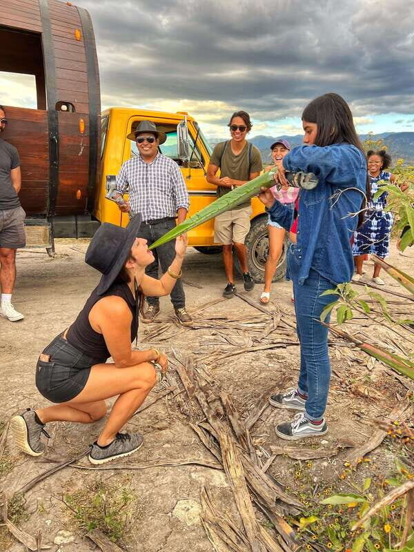 Oaxaca: Monte Albán, Hierve el agua, Mezcal and Teotitlán - Visiting Monte Albán: Stepping Back in Time