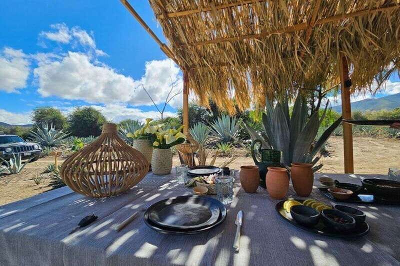 Oaxaca: Private Lunch in Maguey Fields with Mezcal Tasting - An In-Depth Look at What to Expect