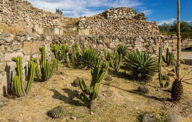Oaxaca: Private Mitla Tour with Chocolate Tasting by Car - Chocolate Making: A Sweet Connection to History