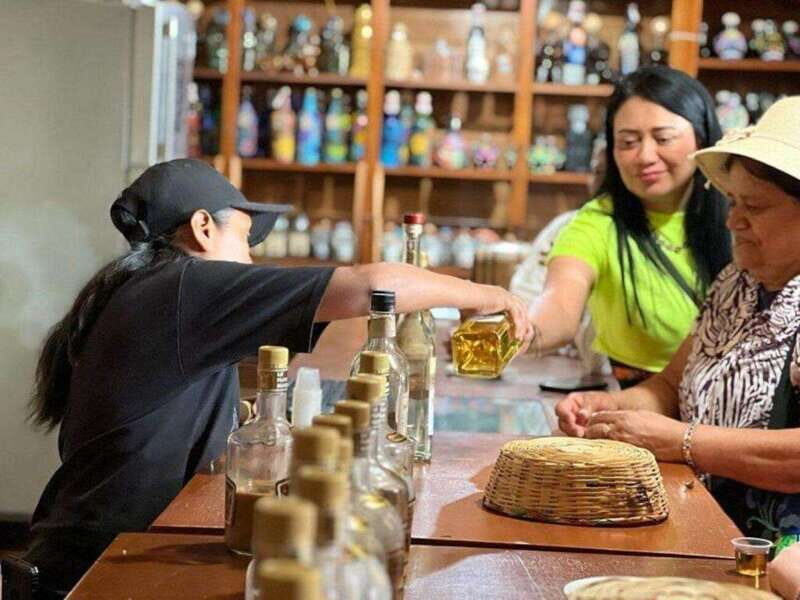 Oaxaca: Private Tour Esencia de Oaxaca - What You Can Expect from the Tour