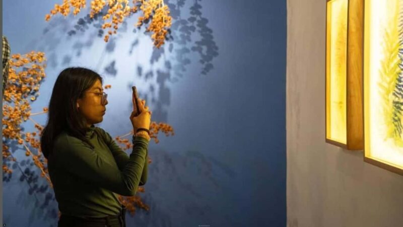 Oaxaca Renowned Art Galleries and Traditions in Private Tour - Key Points