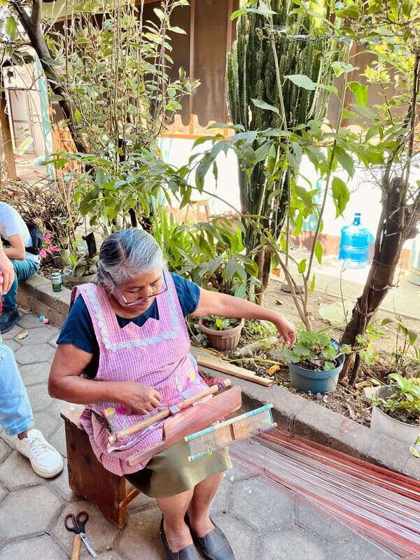 Oaxaca: San Martín Tilcajete, Jalieza & Ocotlán Crafts Route - Is This Tour Right for You?