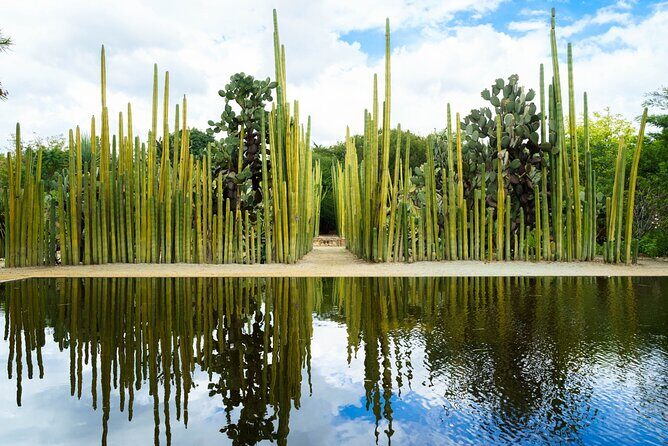 Oaxaca Scavenger Hunt and Sights Self Guided Tour - The Authenticity of the Experience